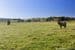106/Stage 4 Cedar Grove Estate, ST LEONARDS, TAS 7250, St Leonards - Thumbnail 5