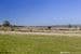 106/Stage 4 Cedar Grove Estate, ST LEONARDS, TAS 7250, St Leonards - Thumbnail 7