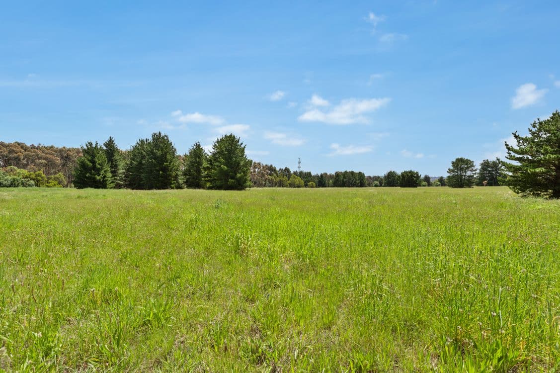 1615 Stumpy Gully Road, MOOROODUC, VIC 3933, Moorooduc - Thumbnail 2