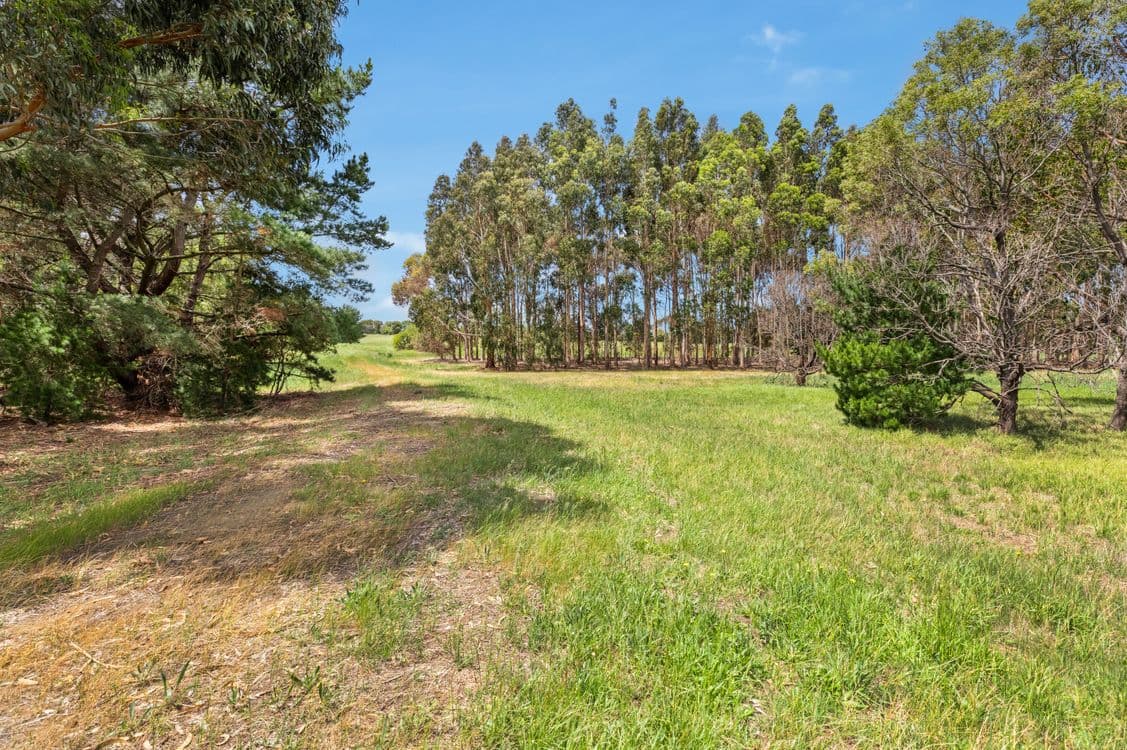 1615 Stumpy Gully Road, MOOROODUC, VIC 3933, Moorooduc - Thumbnail 4