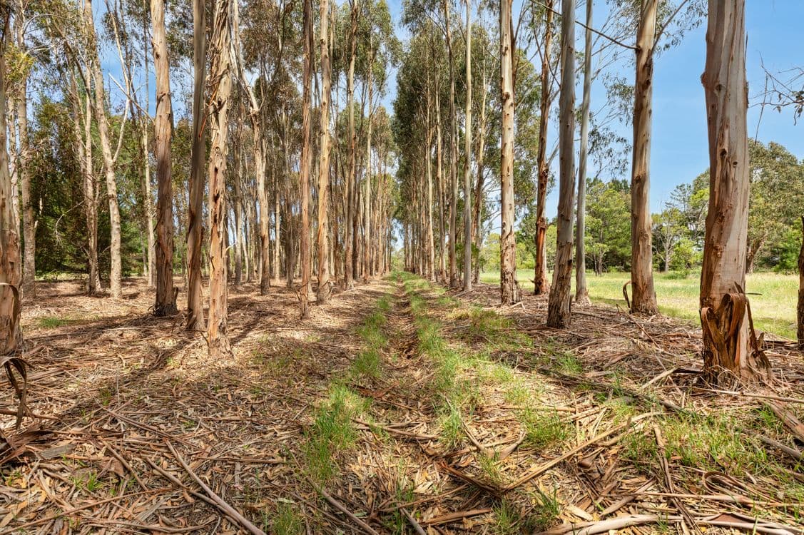 1615 Stumpy Gully Road, MOOROODUC, VIC 3933, Moorooduc - Thumbnail 8