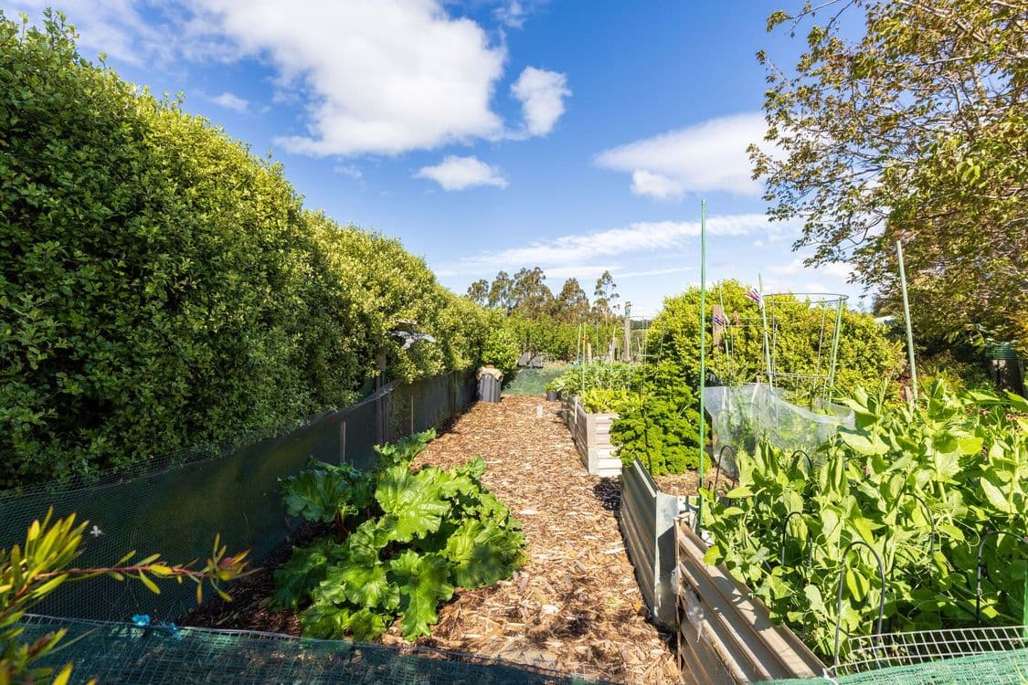 129 Ritchie Street, WESTBURY, TAS 7303, Westbury - Thumbnail 4
