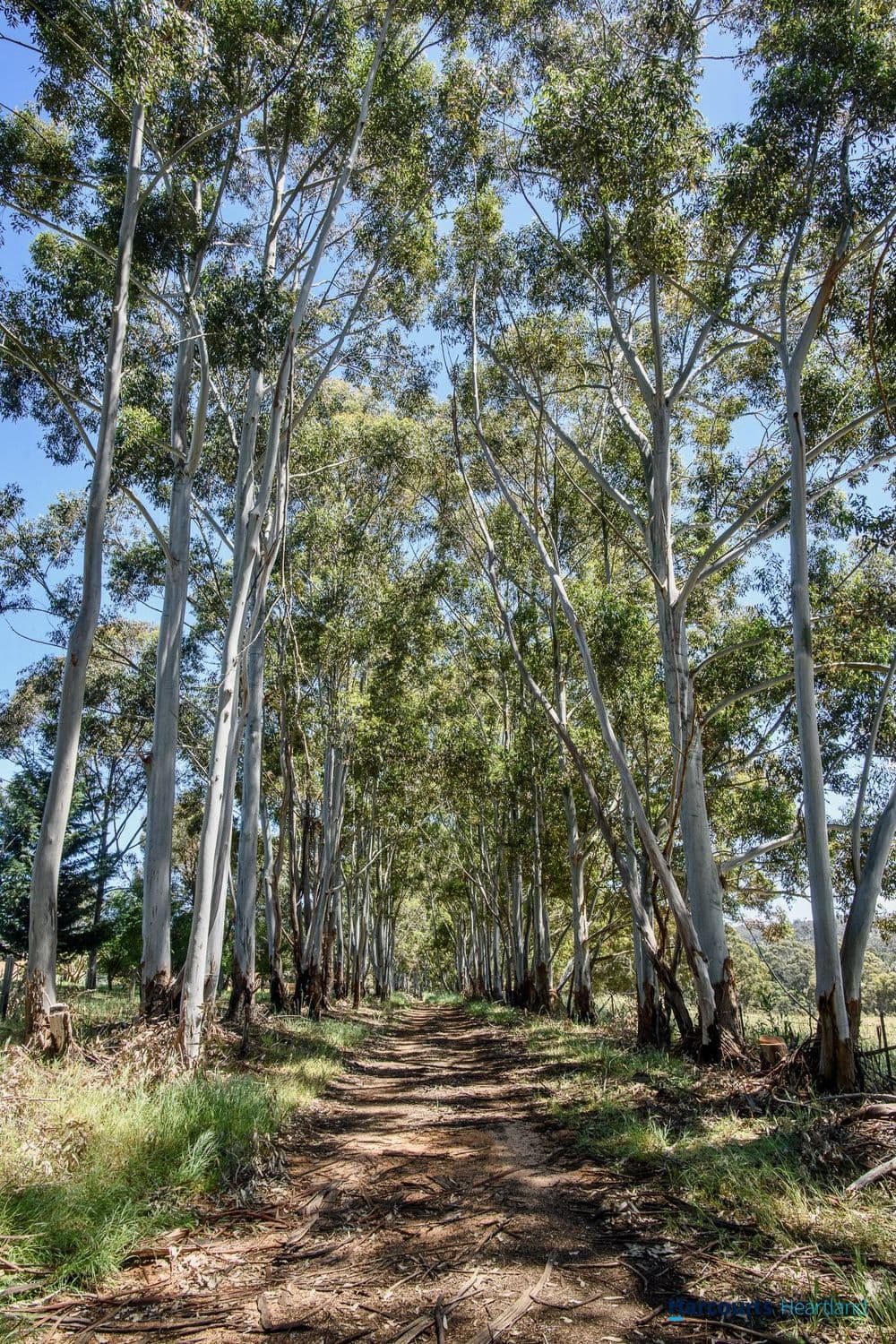 197 Henderson Road, KANGAROO GULLY, WA 6255, Kangaroo Gully - Thumbnail 3