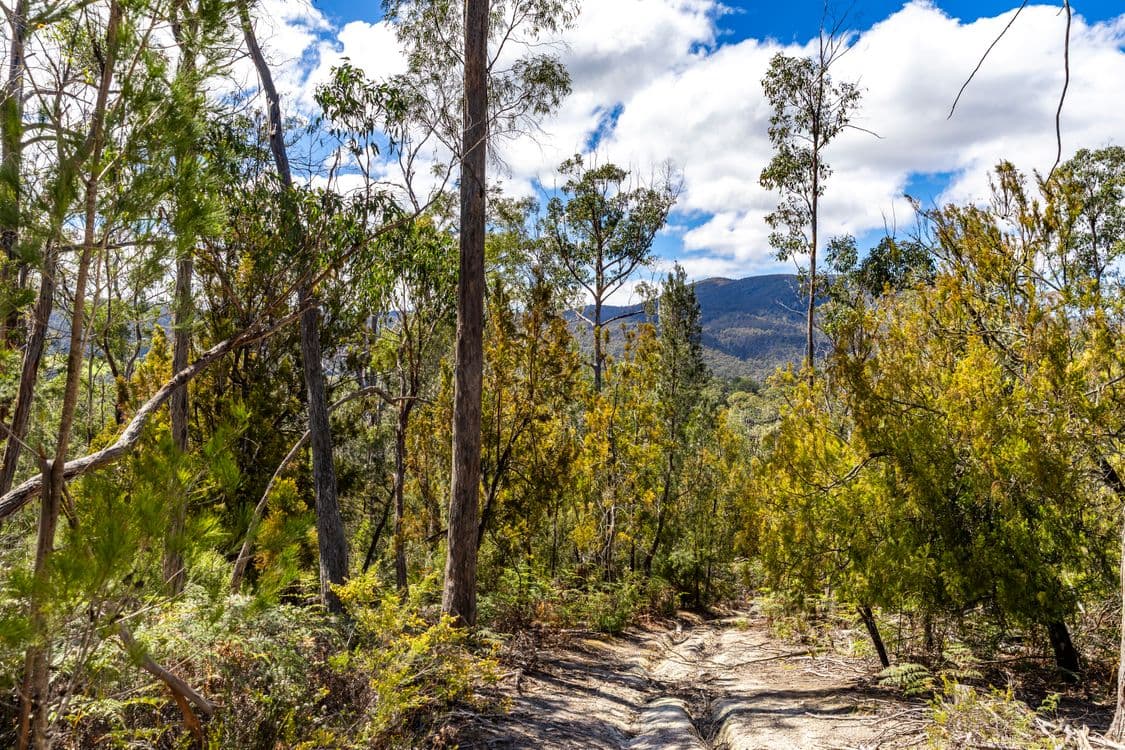 Lot 5 Harveys Hill Close, DEEP BAY, TAS 7112, Deep Bay - Thumbnail 2