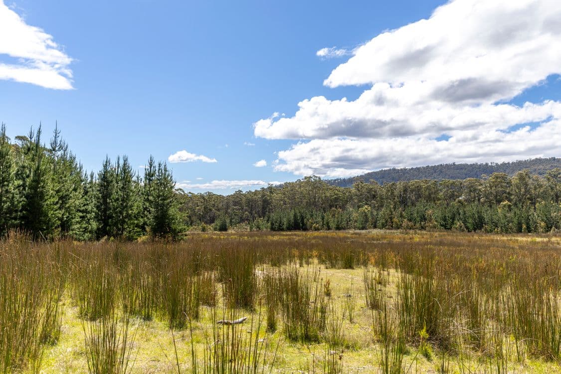 Lot 5 Harveys Hill Close, DEEP BAY, TAS 7112, Deep Bay - Thumbnail 3