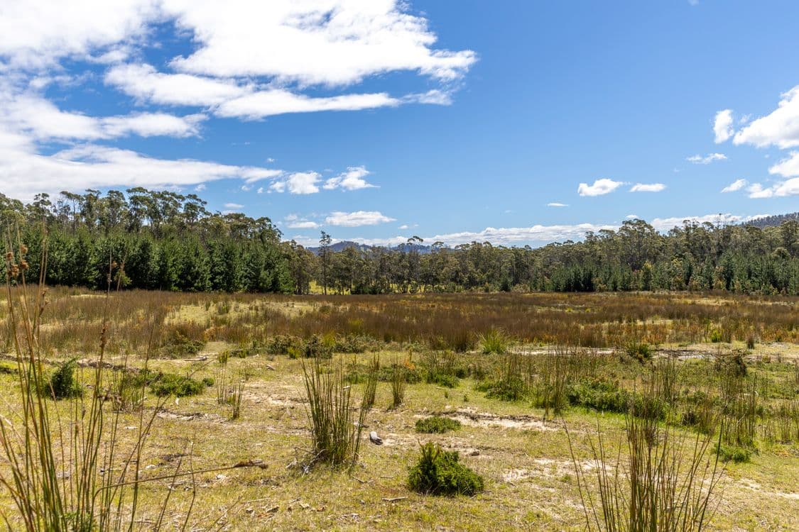 Lot 5 Harveys Hill Close, DEEP BAY, TAS 7112, Deep Bay - Thumbnail 6