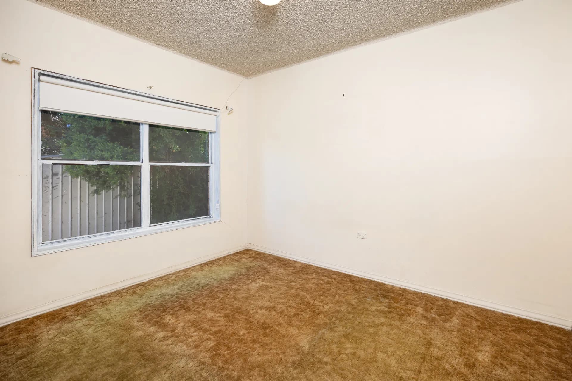 56 Balmoral Crescent, Lake Albert., Lake Albert - Thumbnail 7