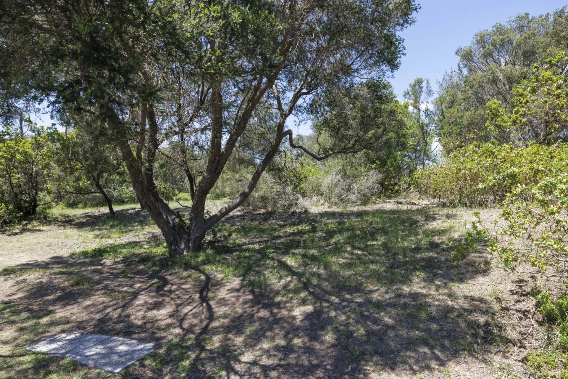 6 Kennedy Street, Blairgowrie, VIC, Blairgowrie - Thumbnail 6