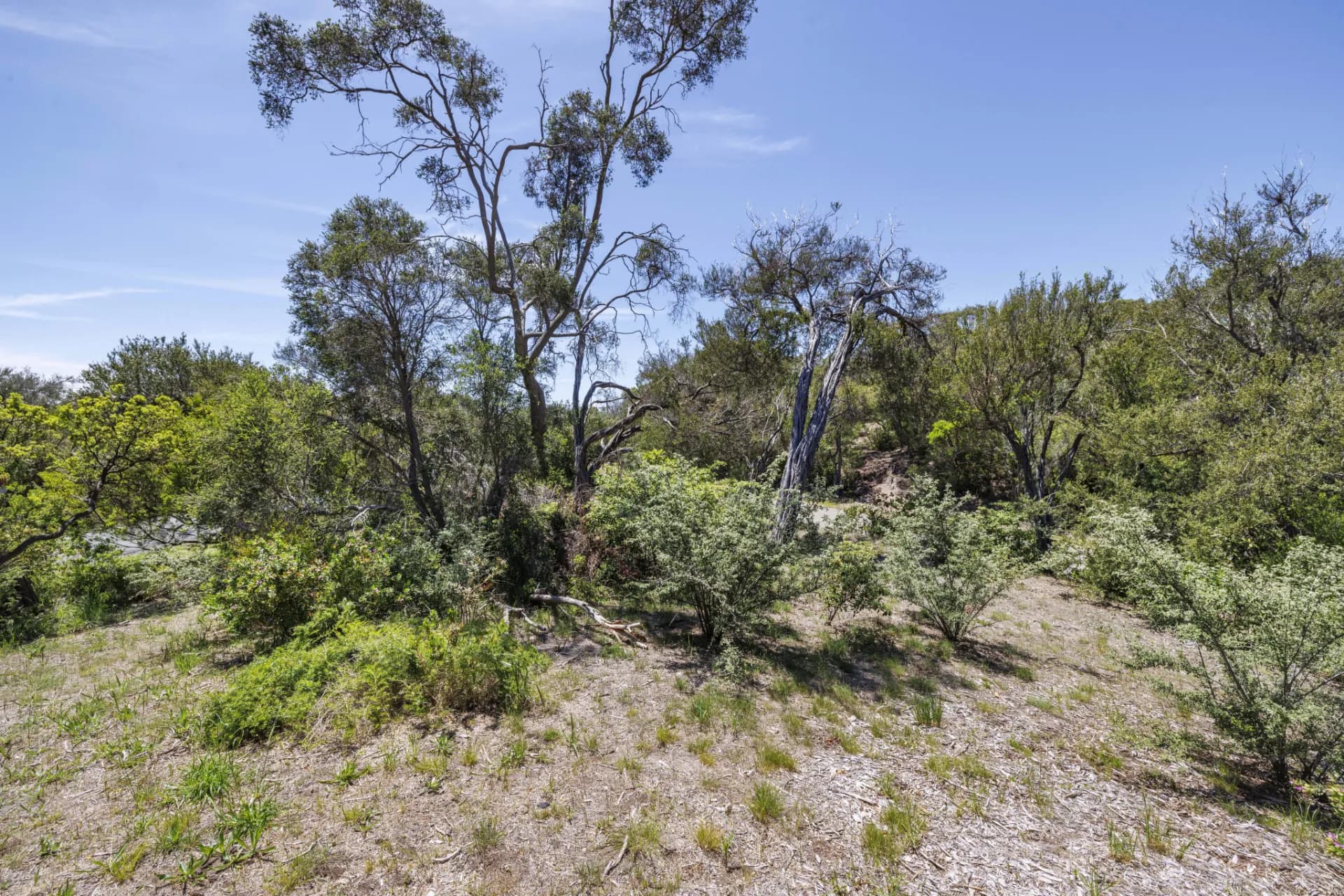 6 Kennedy Street, Blairgowrie, VIC, Blairgowrie - Thumbnail 8