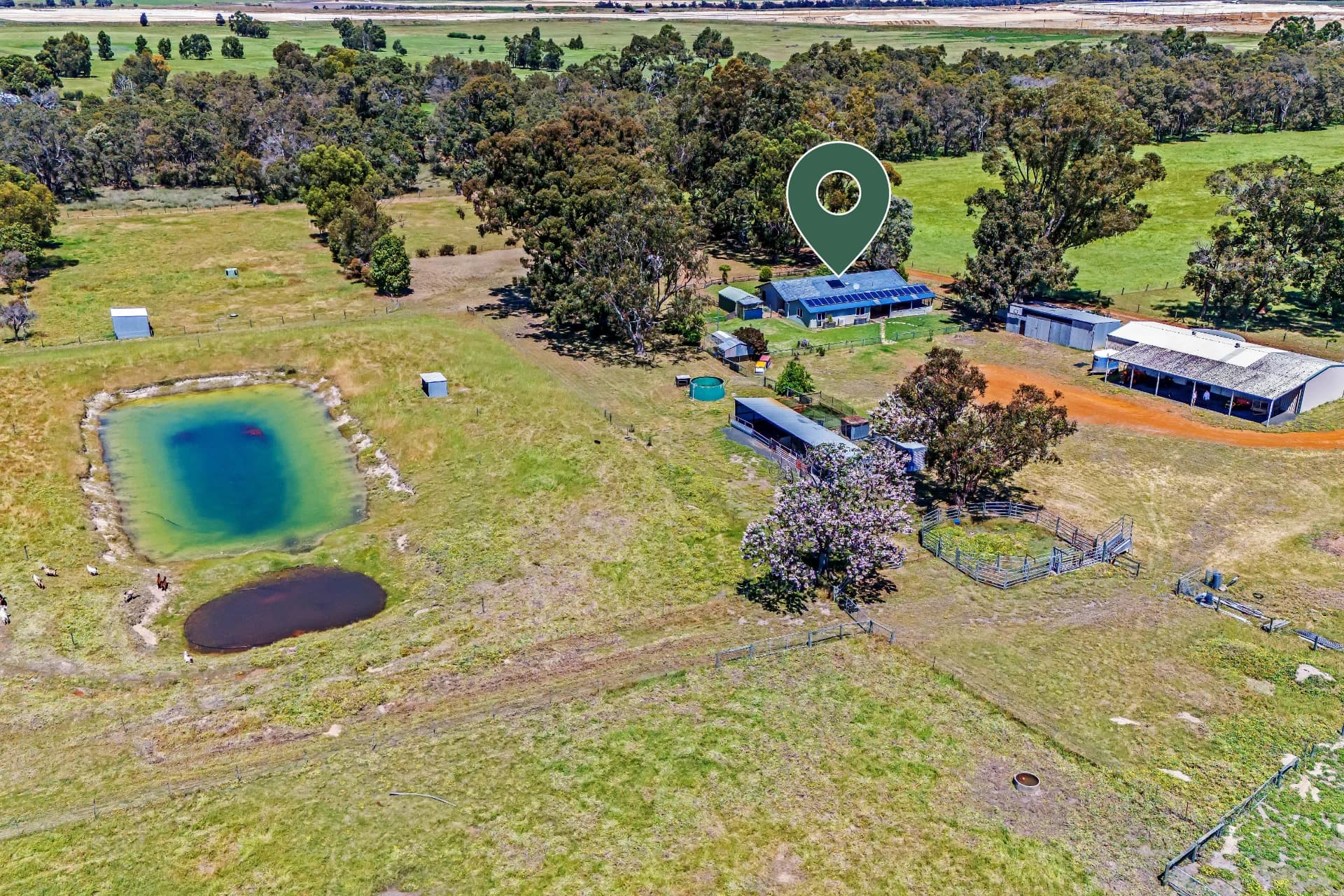 213 Ruabon Road, Ruabon, WA, Ruabon - Thumbnail 5