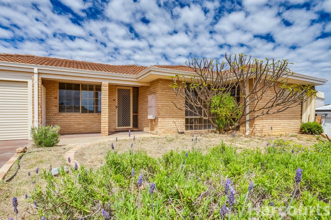 20B Carmen Court, JOONDALUP, WA 6027, Joondalup - Thumbnail 2