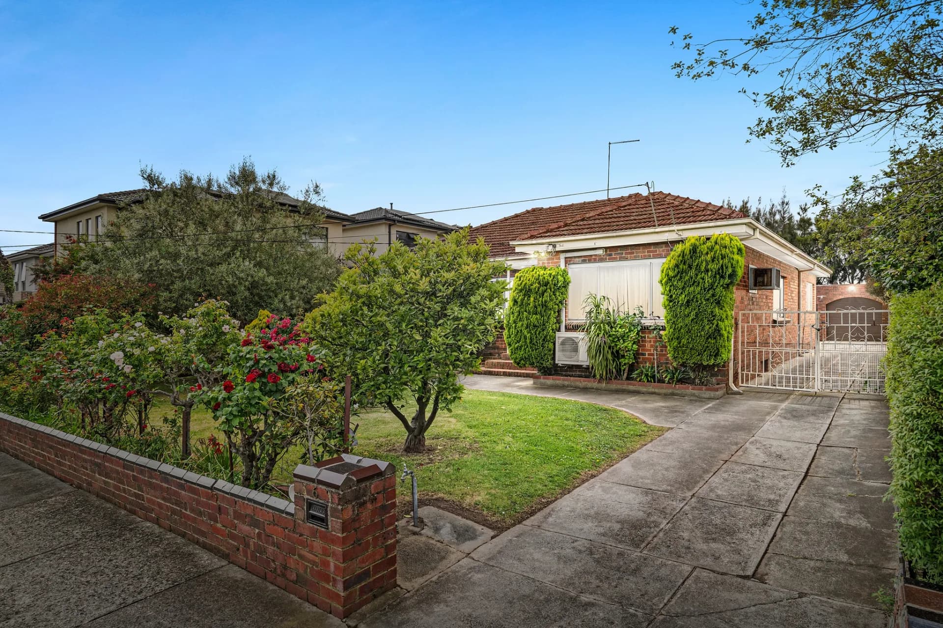 6 Delany Avenue, Burwood., Burwood - Image 1