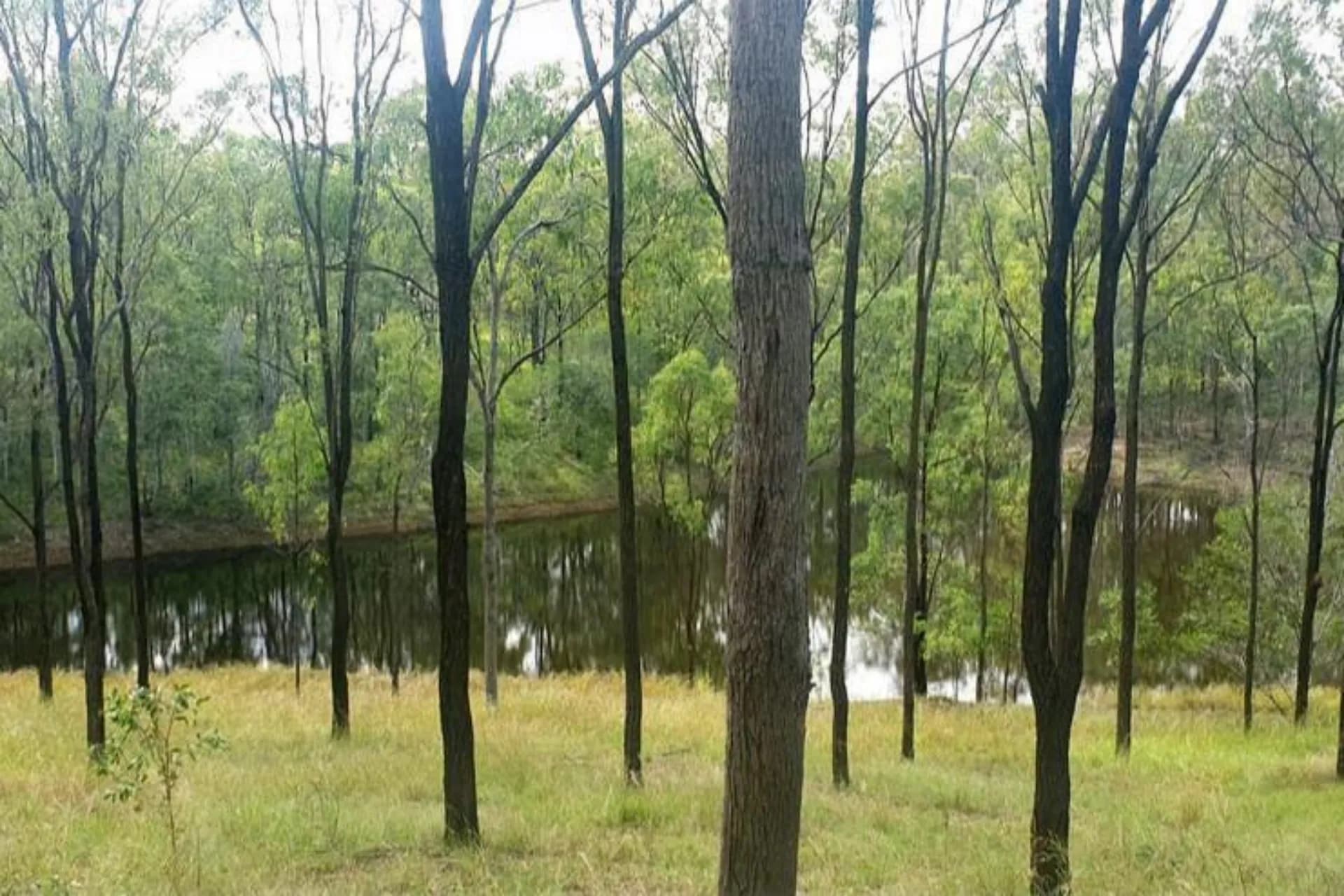 211 HH Innes Road, Horse Camp., Horse Camp - Image 1