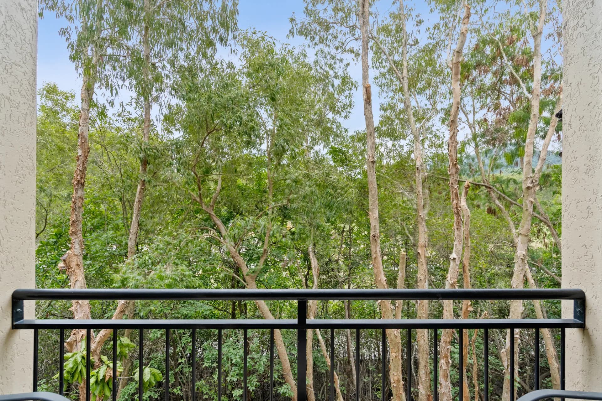 1615/2-10 Greenslopes Street, Cairns North., Cairns North - Thumbnail 7