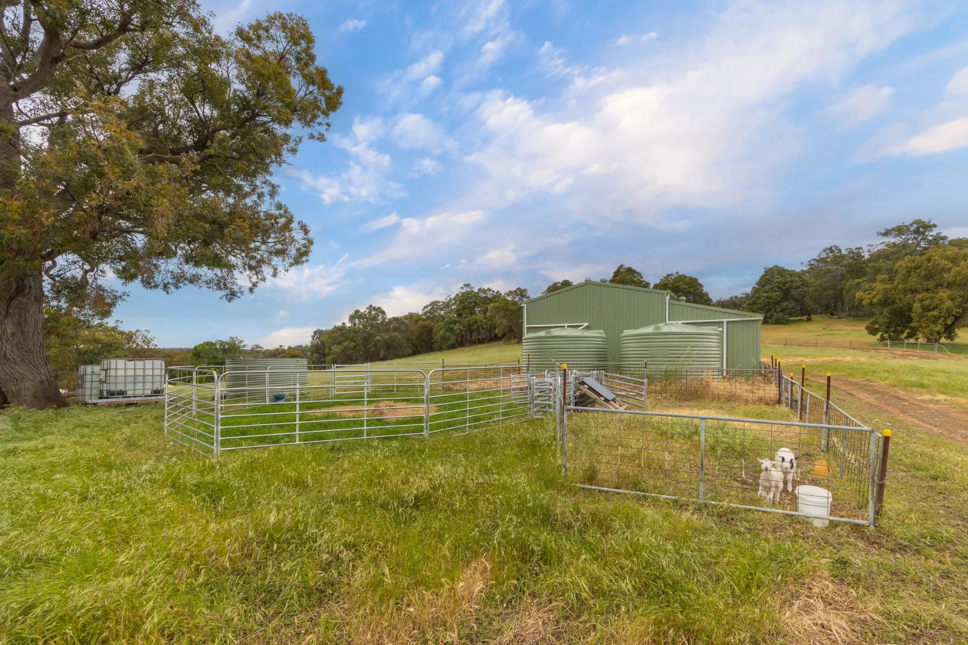 328 Kiln Road, Karrakup., Byford - Thumbnail 4
