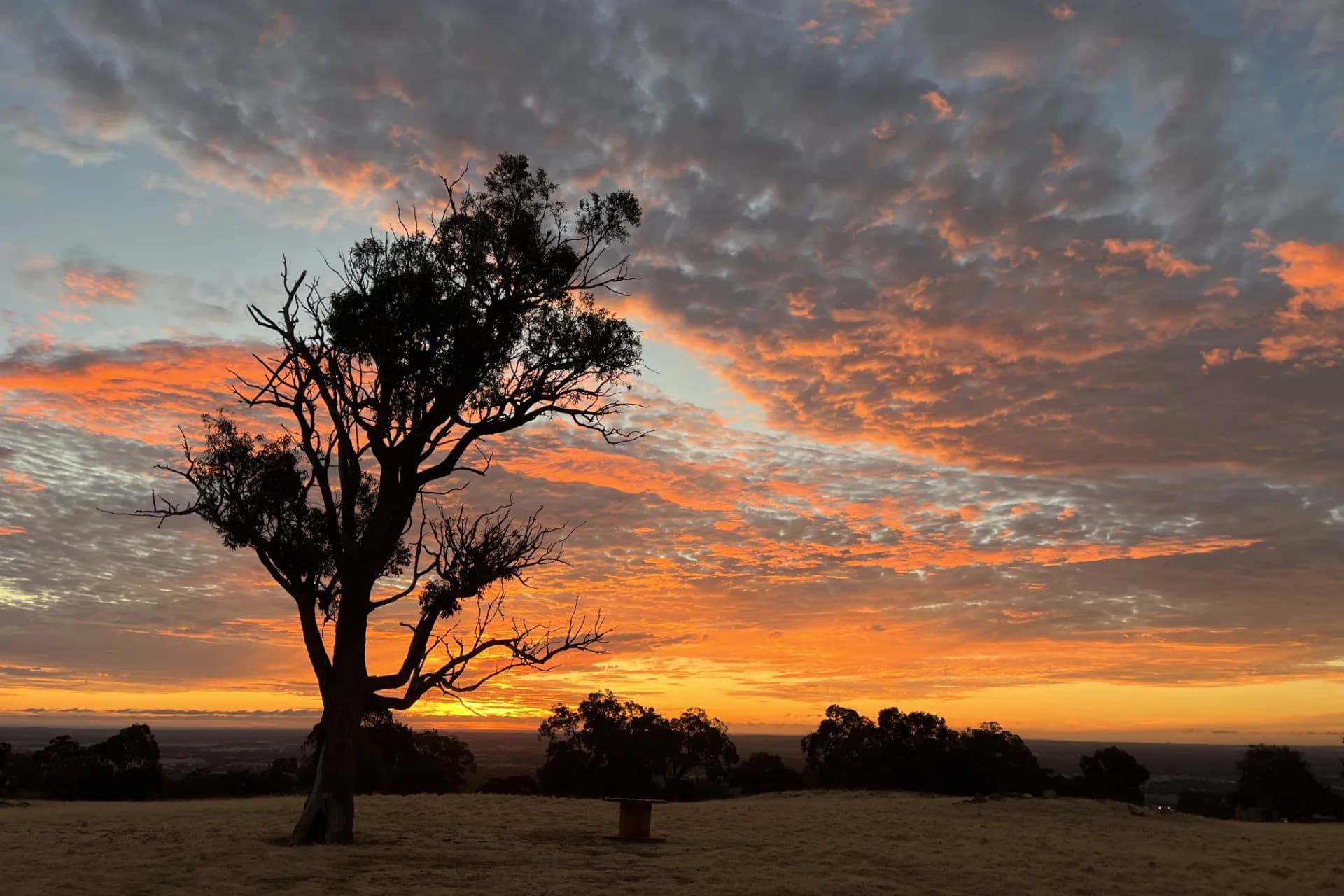 328 Kiln Road, Karrakup., Byford - Thumbnail 8