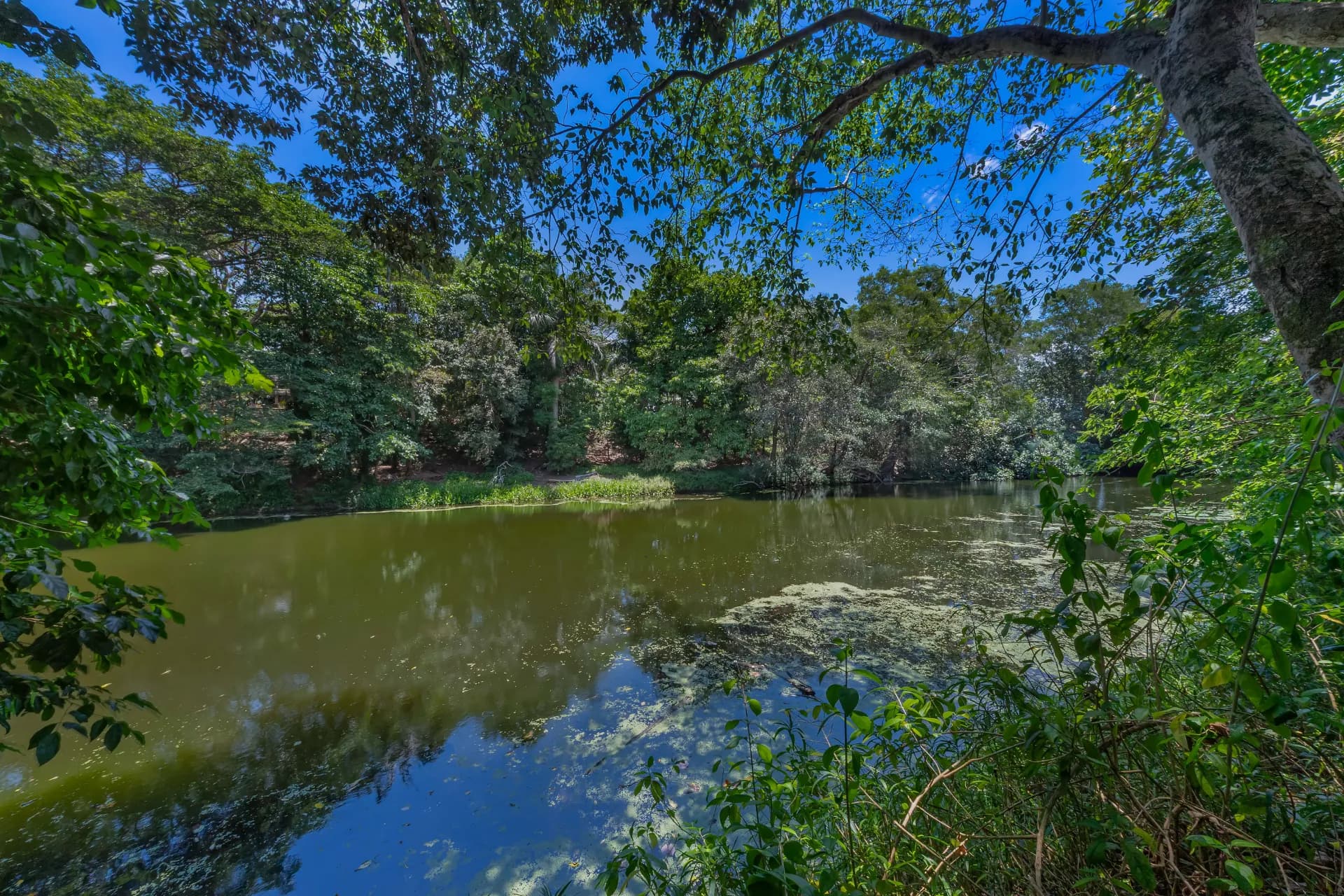 64 Tyree Road, Mount Julian., Mount Julian - Thumbnail 8