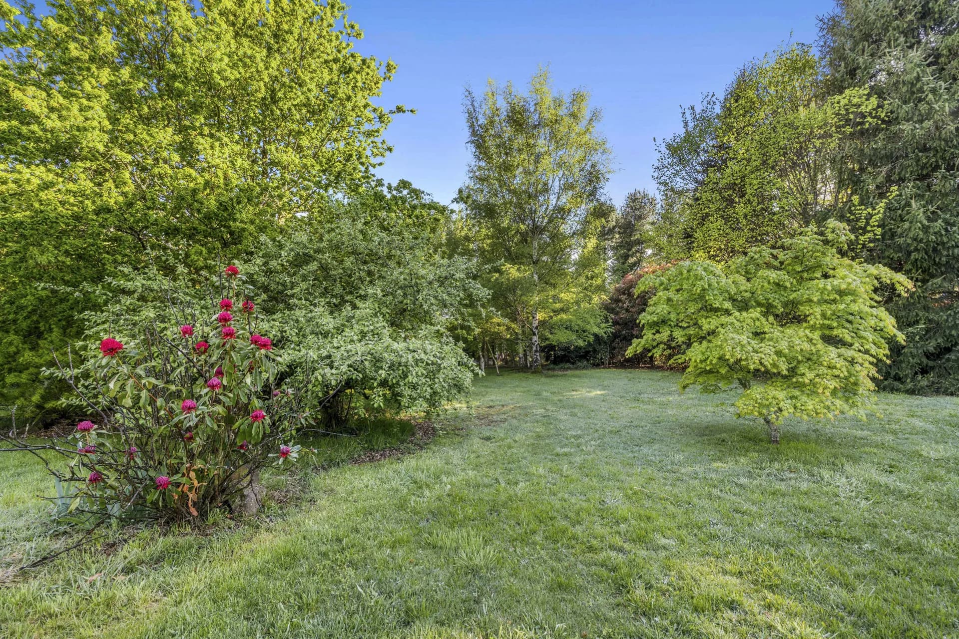 22 Leishmans  Lane, Lyonville., Lyonville - Thumbnail 8