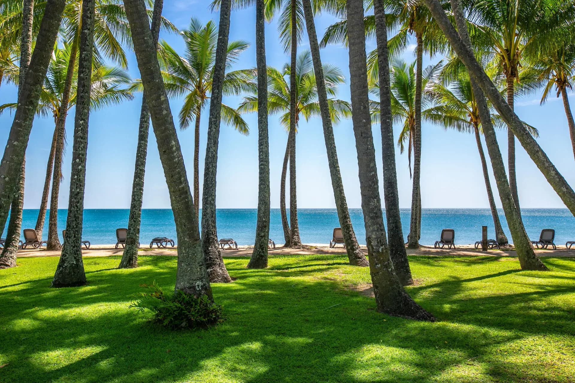 150 Argentea Boulevard, Palm Cove, QLD, Palm Cove - Thumbnail 8