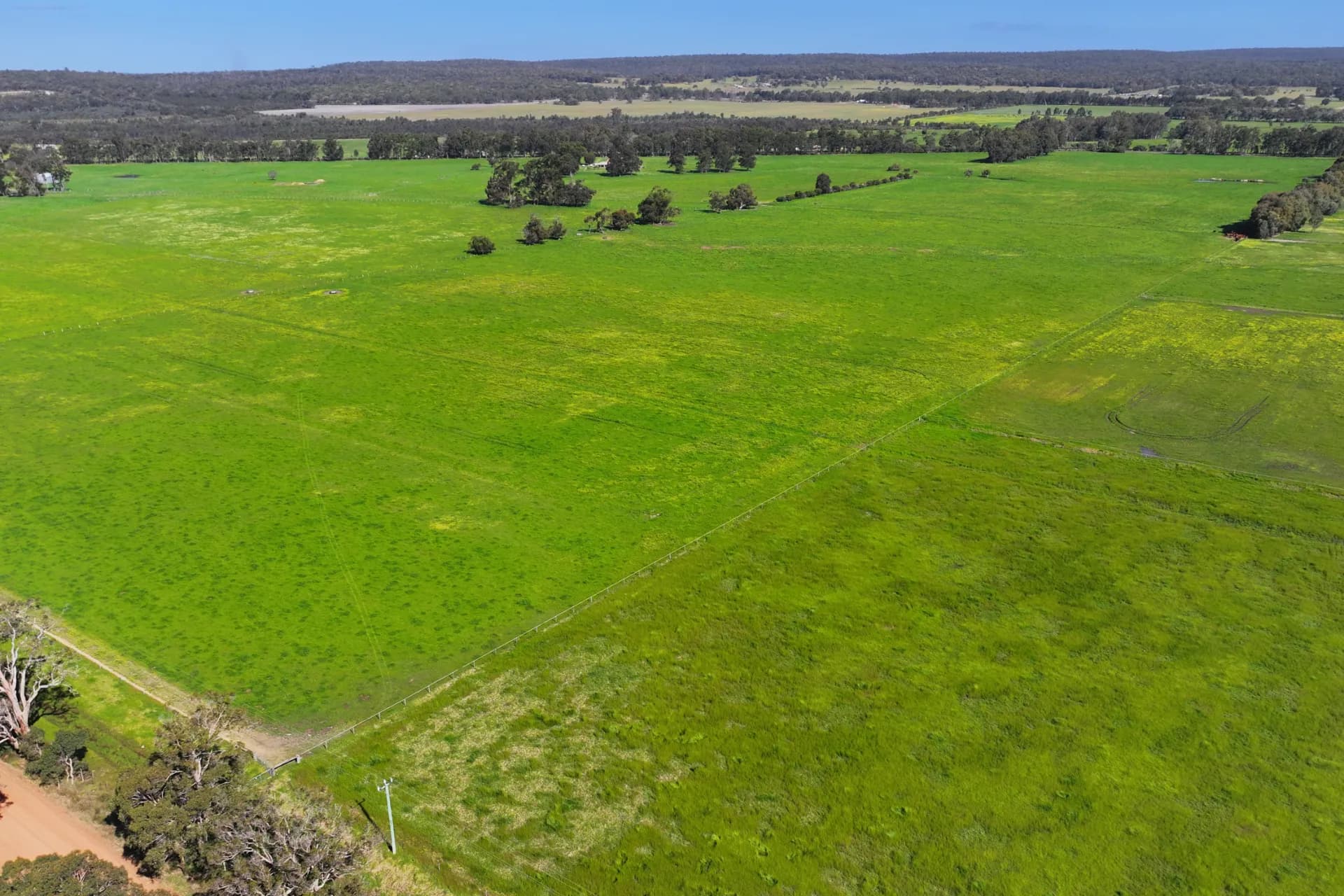 64 Lowrie Road, The Plains - Thumbnail 3