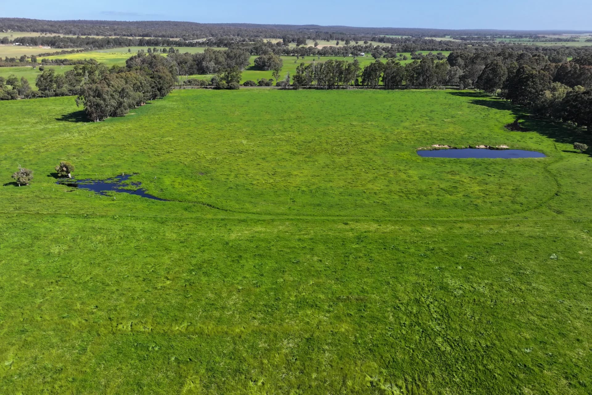 64 Lowrie Road, The Plains - Thumbnail 5