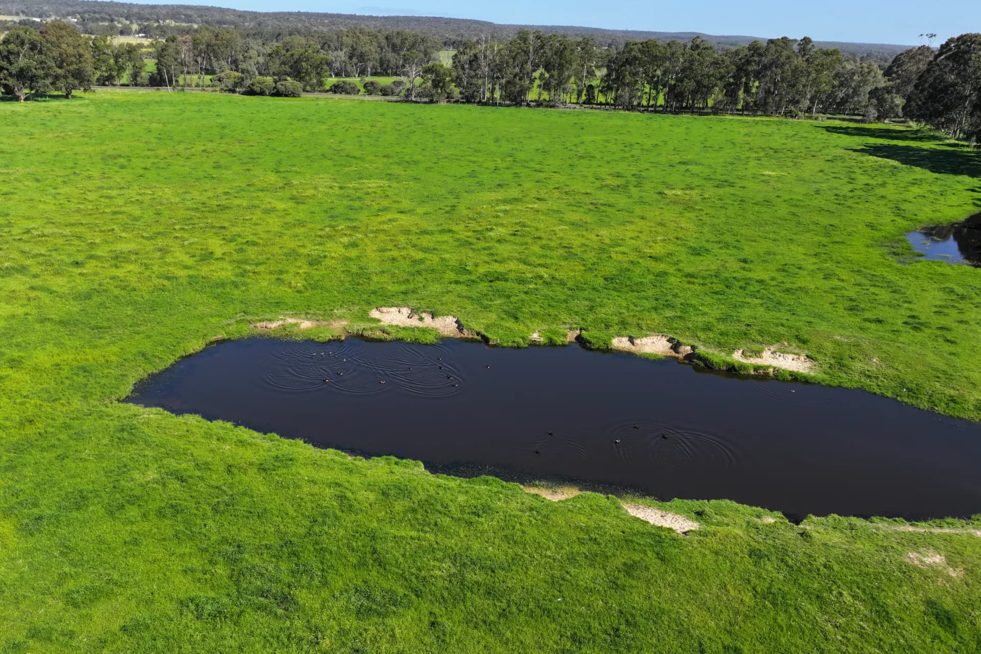 64 Lowrie Road, The Plains - Thumbnail 6