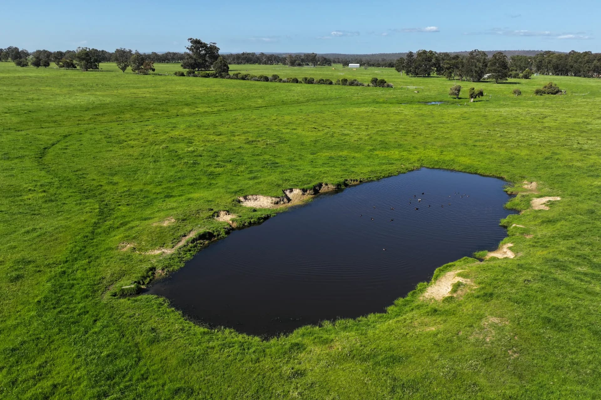 64 Lowrie Road, The Plains - Thumbnail 7