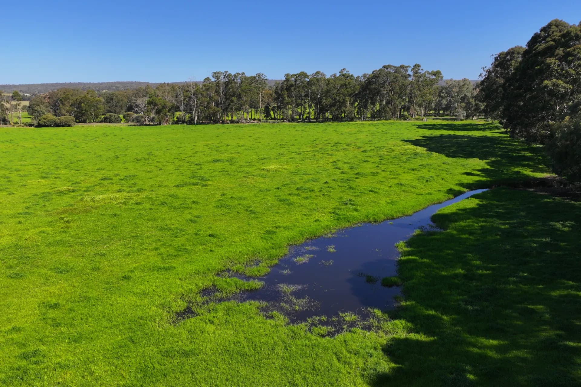 64 Lowrie Road, The Plains - Thumbnail 8