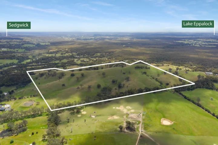 49 Carramar Drive, Sedgwick, VIC, Sedgwick - Image 1