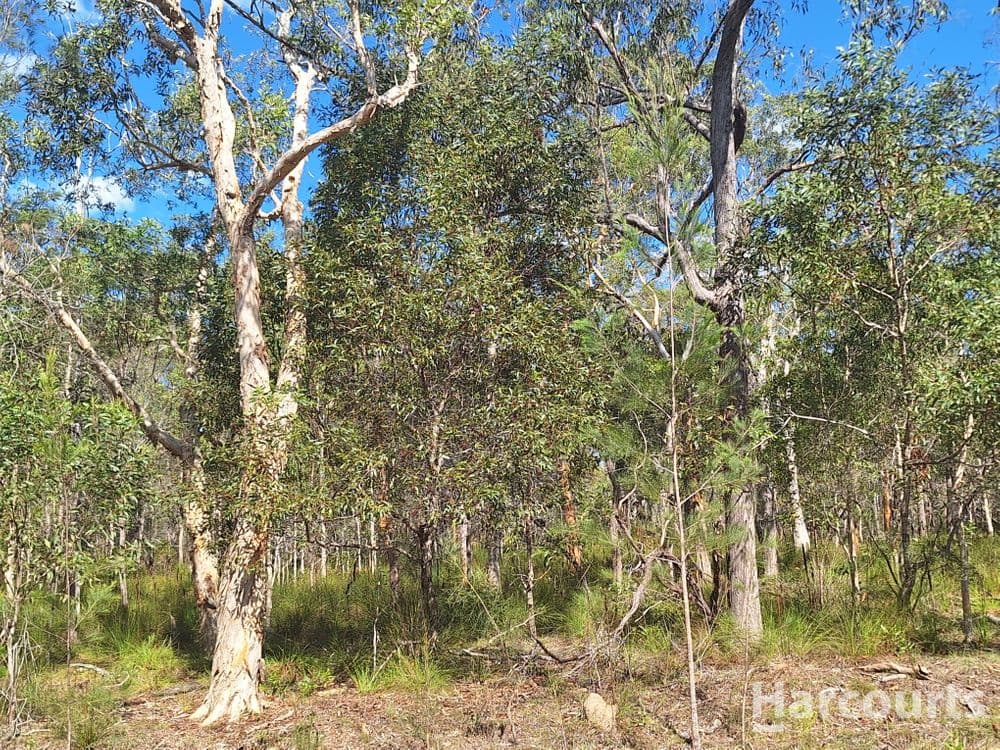 8 Ranch Park Drive, PACIFIC HAVEN, QLD 4659, Pacific Haven - Thumbnail 3
