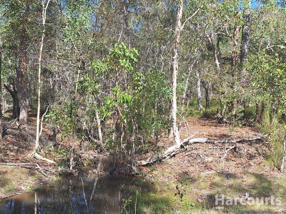 8 Ranch Park Drive, PACIFIC HAVEN, QLD 4659, Pacific Haven - Thumbnail 4