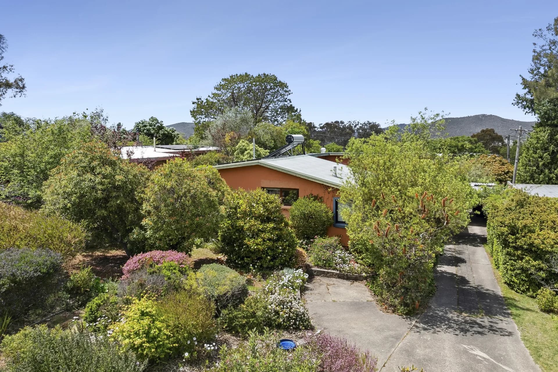 218 Dryandra Street, O'Connor, ACT, O'Connor - Thumbnail 3