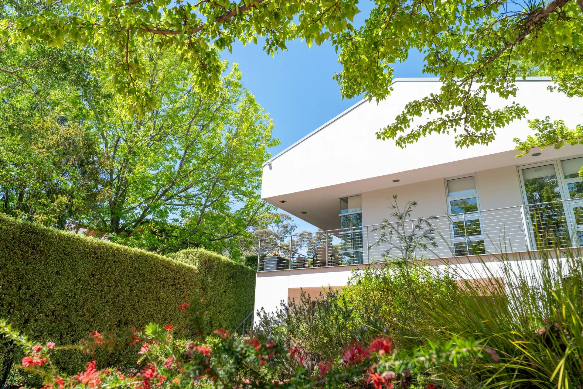 9 Johnston Street, Narrabundah - Thumbnail 3