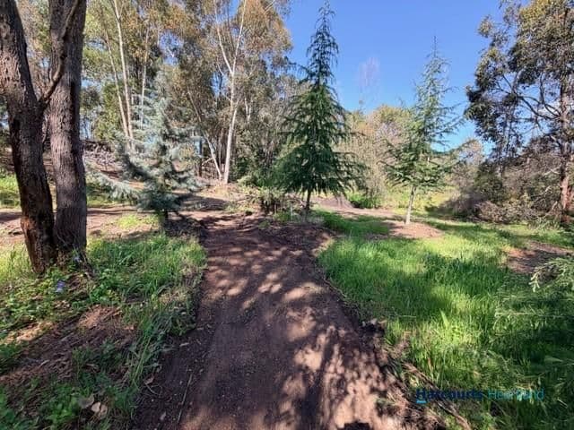 Lot 13524 Blackwood Road, GREENBUSHES, WA 6254, Greenbushes - Thumbnail 4