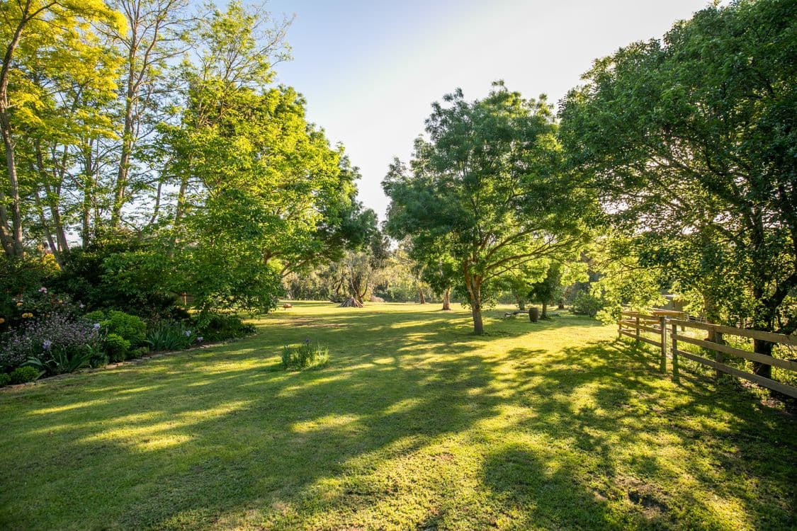 19 Paddy Hill Road, MOUNT BARKER, SA 5251, Mount Barker - Thumbnail 2