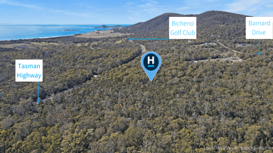 2 Barnard Drive, BICHENO, TAS 7215, Bicheno - Image 1