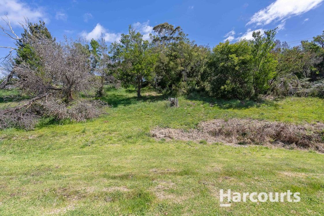 Emma Street, BRIDPORT, TAS 7262, Bridport - Thumbnail 8