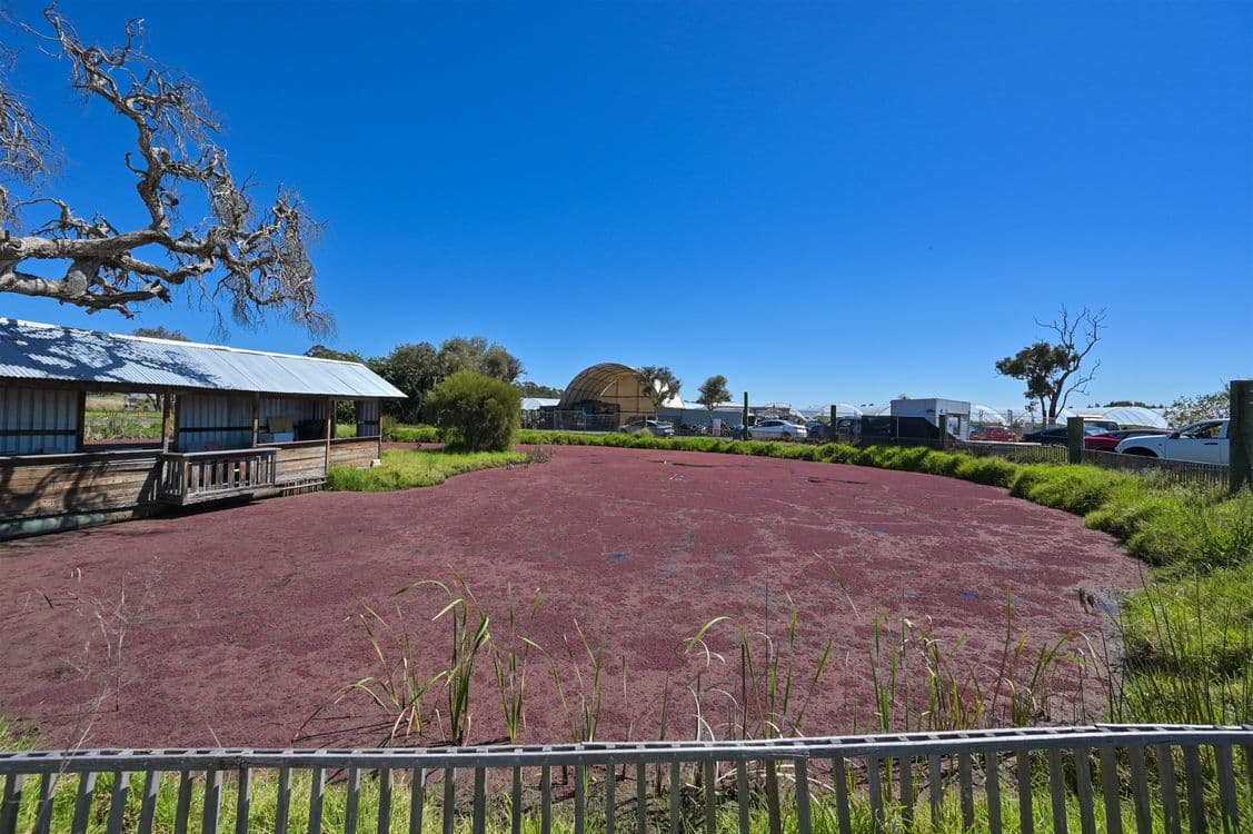 1769 Neaves Road, BULLSBROOK, WA 6084, Bullsbrook - Thumbnail 8