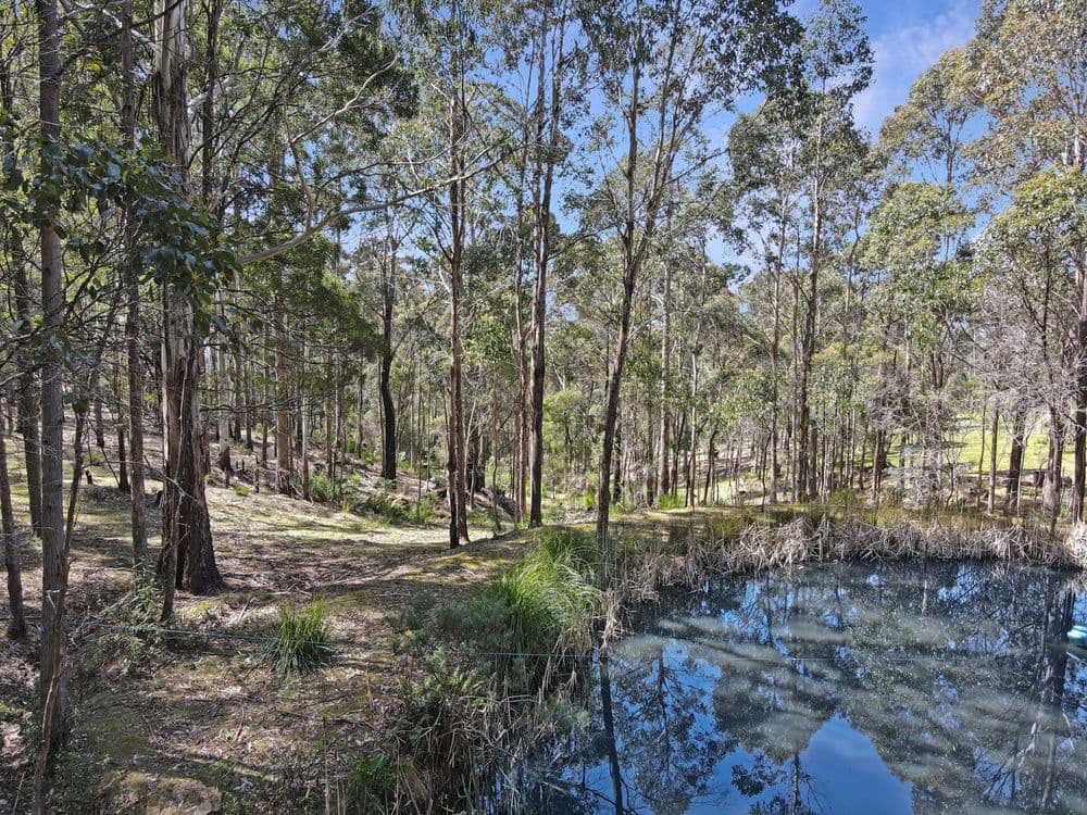 549 German Town Road, ST MARYS, TAS 7215, St Marys - Thumbnail 4