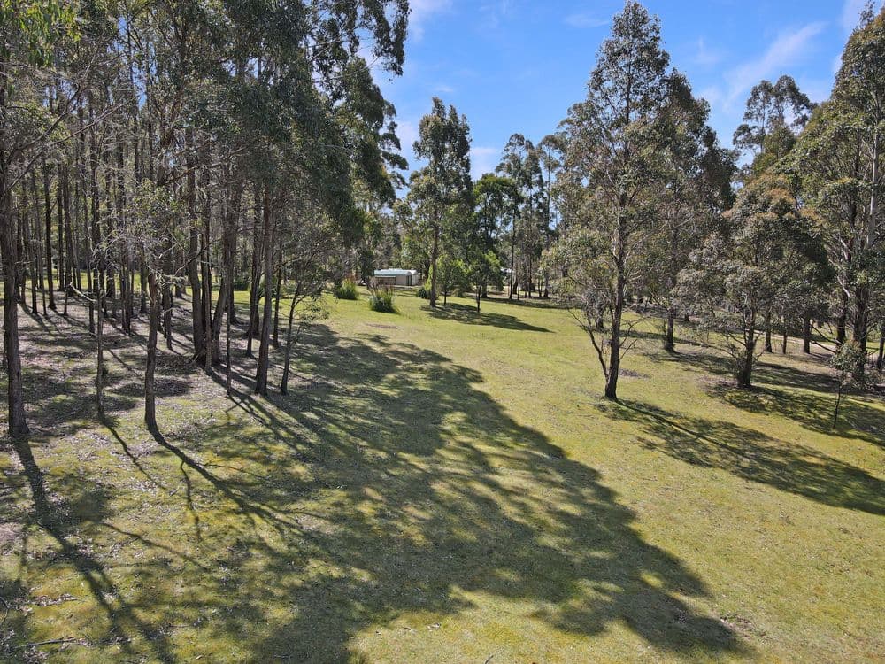 549 German Town Road, ST MARYS, TAS 7215, St Marys - Thumbnail 5