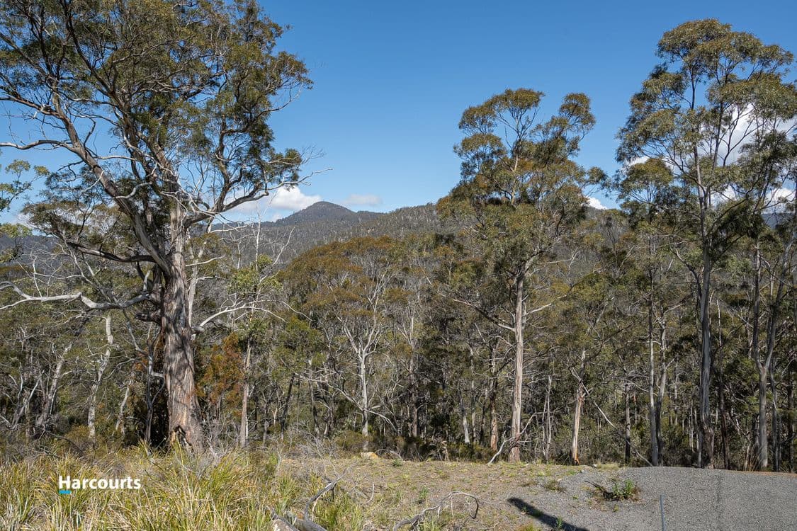54 Bull Oak Way, GROVE, TAS 7109, Grove - Thumbnail 4