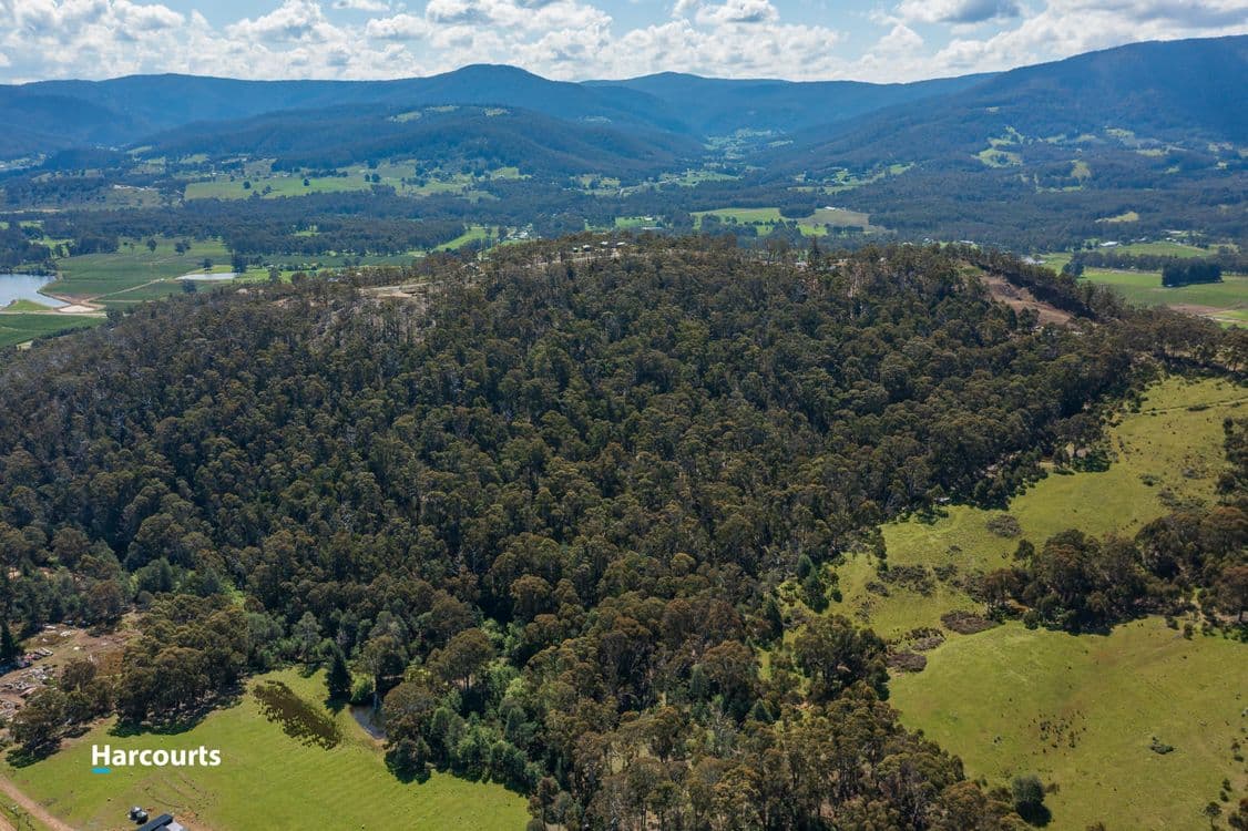 54 Bull Oak Way, GROVE, TAS 7109, Grove - Thumbnail 5