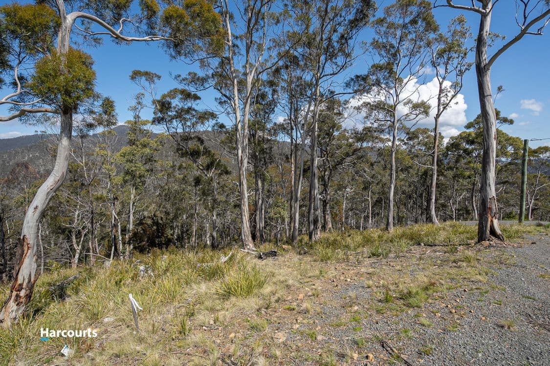 54 Bull Oak Way, GROVE, TAS 7109, Grove - Thumbnail 7