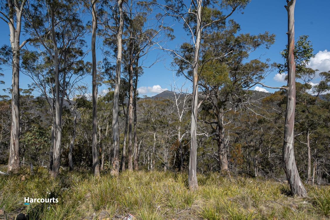54 Bull Oak Way, GROVE, TAS 7109, Grove - Thumbnail 8