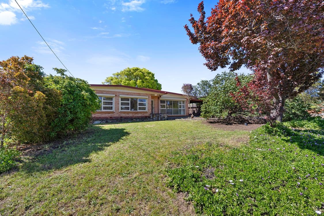 13 Almond Grove, MORPHETT VALE, SA 5162, Morphett Vale - Thumbnail 4