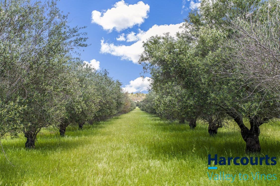 809 Bindoon-Moora Road, BINDOON, WA 6502, Bindoon - Thumbnail 2