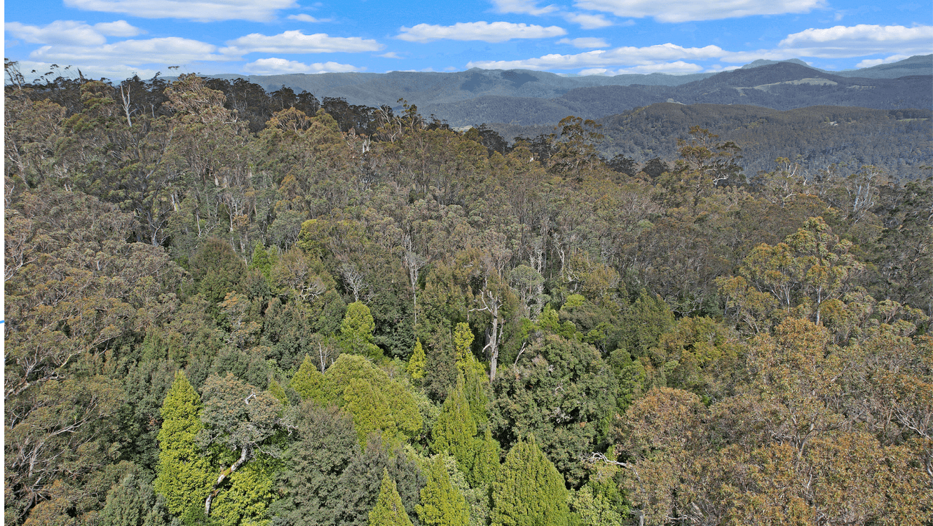 PID 6805846 Anchor Road, LOTTAH, TAS 7216, Lottah - Thumbnail 4