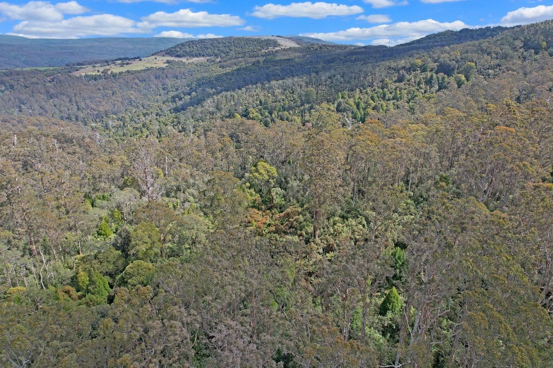 PID 6805846 Anchor Road, LOTTAH, TAS 7216, Lottah - Thumbnail 5