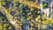 45 Witney Street, Prospect - Thumbnail 5