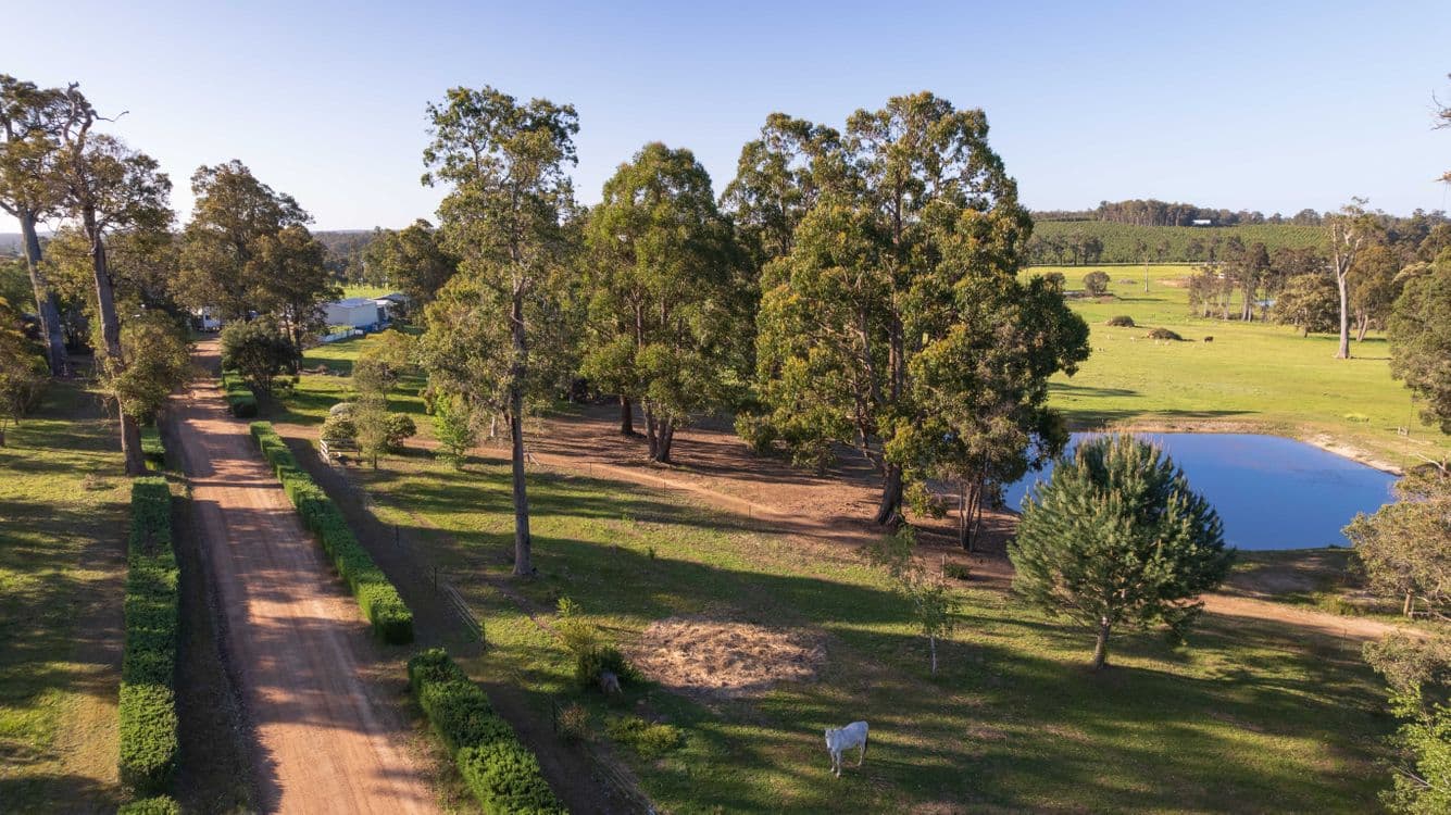 124 Ralston Road (Ringbark), MANJIMUP, WA 6258, Manjimup - Thumbnail 5